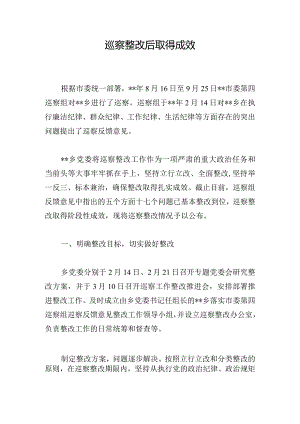 巡察整改后取得成效.docx