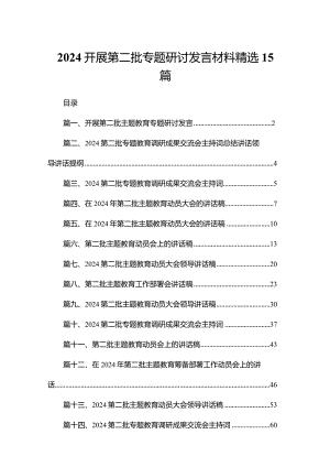 2024开展第二批专题研讨发言材料精选15篇.docx
