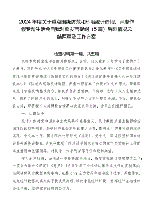 2024年度关于重点围绕防范和惩治统计造假、弄虚作假专题生活会自我对照发言提纲（5篇）后附情况总结两篇及工作方案.docx