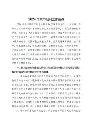 2024年市县组织工作要点计划.docx