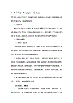 2024年某公司党支部工作要点.docx