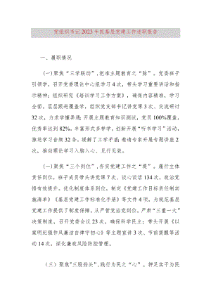 党组织书记2023年抓基层党建工作述职报告.docx