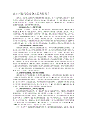 在乡村振兴交流会上的典型发言.docx