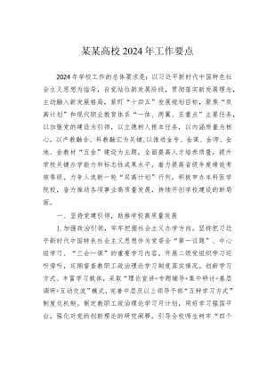 某某高校2024年工作要点.docx