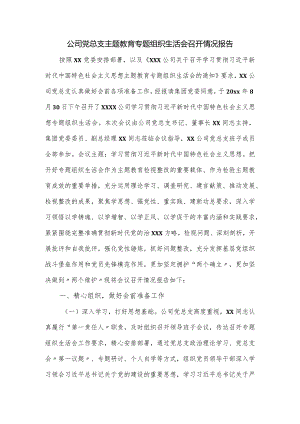 公司党总支主题教育专题组织生活会召开情况报告.docx