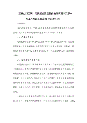 巡察办对区统计局开展巡察监督的进展情况以及下一步工作思路汇报发言.docx