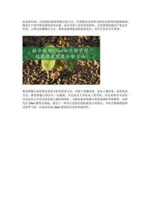改进棉花根系图像分割方法.docx