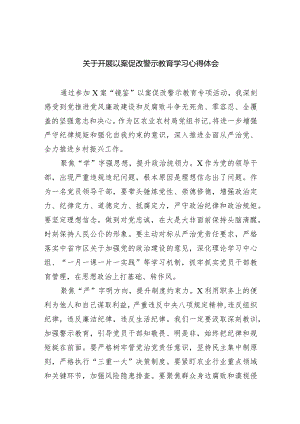 关于开展以案促改警示教育学习心得体会8篇（完整版）.docx
