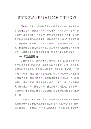 某某市某局纪检监察组2024年工作要点.docx