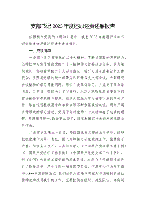 支部书记2023年度述职述责述廉报告.docx