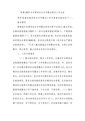 X镇2023年自建房安全专项整治情况工作总结.docx