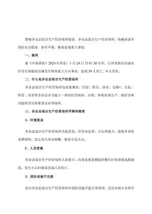 多业态混合生产经营场所安全指南（2024年）.docx