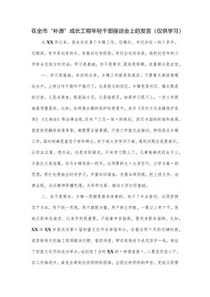 在全市“补源”成长工程年轻干部座谈会上的发言.docx