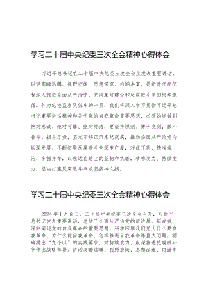 纪检人员学习贯彻二十届中央纪委三次全会精神的心得体会十九篇.docx