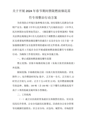 关于开展2024年春节期间禁限燃放烟花爆竹专项整治行动方案.docx