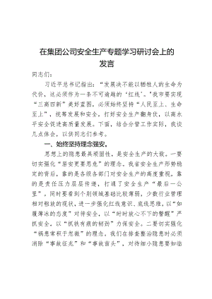 在集团公司安全生产专题学习研讨会上的发言.docx
