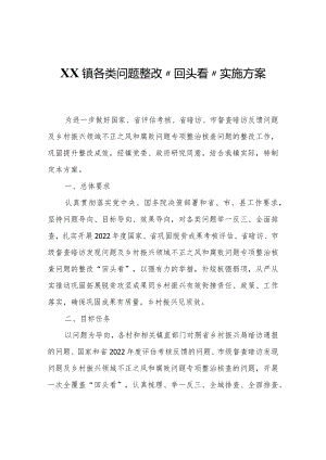 XX镇各类问题整改“回头看”实施方案.docx