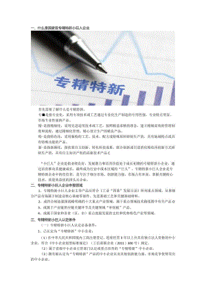 国家级专精特新小巨人企业申报.docx