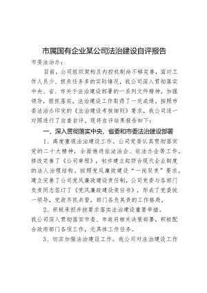 市属国有企业某公司法治建设自评报告.docx