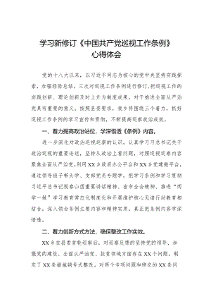 乡干部学习贯彻2024版新修订《中国共产党巡视工作条例》学习体会交流发言五篇.docx