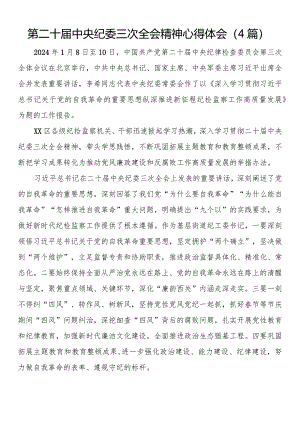 第二十届中央纪委三次全会精神心得体会（4篇）.docx