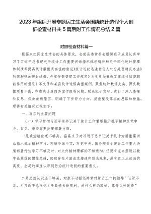 2023年组织开展专题民主生活会围绕统计造假个人剖析检查材料共5篇后附工作情况总结2篇.docx