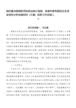 组织重点围绕防范和惩治统计造假、弄虚作假专题民主生活会党性分析检查材料（5篇）后附工作总结二篇.docx
