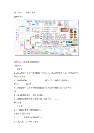 教科版小学四年级科学下册《第二单元：呼吸与消化》自学练习题及答案.docx