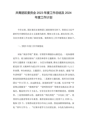 共青团区委员会2023年度工作总结及2024年度工作计划.docx