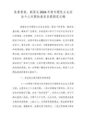 县委常委、副县长2024年度专题民主生活会个人对照检查发言提纲范文稿.docx