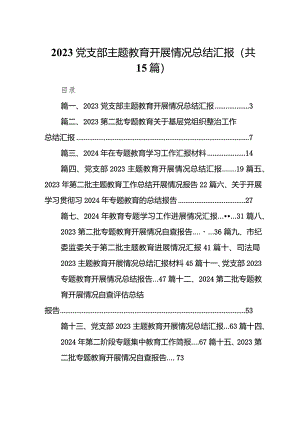 党支部专题教育开展情况总结汇报范文15篇（详细版）.docx