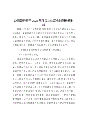 公司领导班子2022年度民主生活会对照检查材料【】.docx
