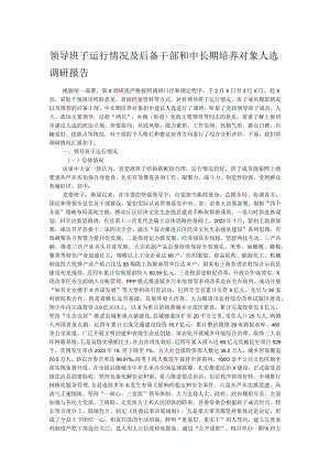 领导班子运行情况及后备干部和中长期培养对象人选调研报告.docx