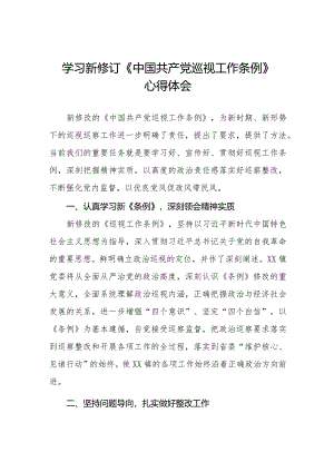2024年学习新修订《中国共产党巡视工作条例》心得体会优秀范文5篇.docx