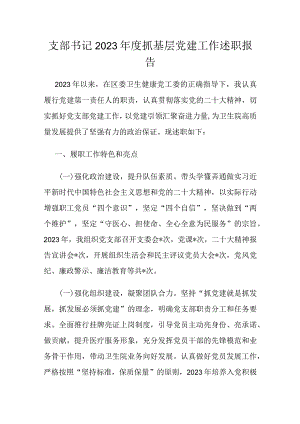 支部书记2023年度抓基层党建工作述职报告.docx
