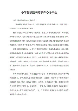 小学生校园踩踏事件心得体会.docx