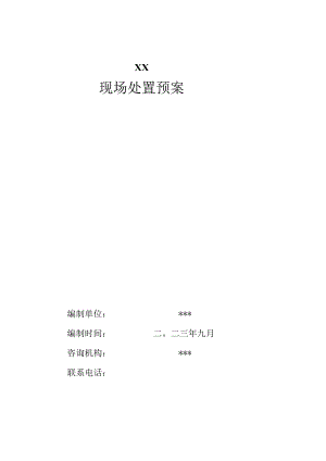 公司现场处置预案.docx