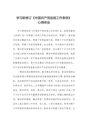 街道干部关于学习新修订《中国共产党巡视工作条例》心得体会交流发言5篇.docx