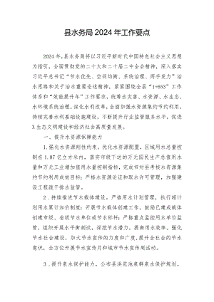 县水务局2024年工作要点.docx