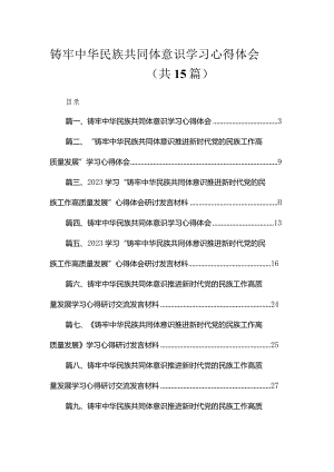 铸牢中华民族共同体意识学习心得体会（15篇）.docx