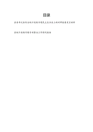 县委书记在2024年防治统计造假专题民主生活会对照检查剖析发言材料和某县统计造假问题专项整治工作情况报告.docx