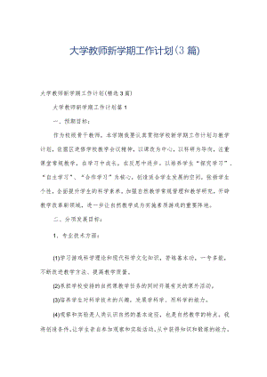 大学教师新学期工作计划（3篇）.docx