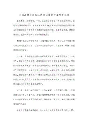 全国政协十四届二次会议隆重开幕感悟心得.docx