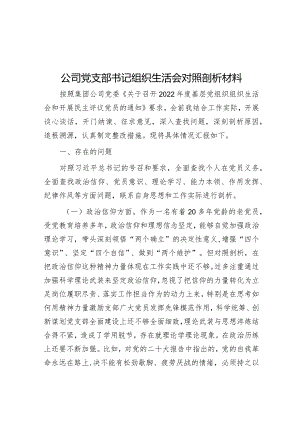 公司党支部书记组织生活会对照剖析材料【】.docx