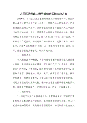 人民医院创建三级甲等综合医院实施方案.docx