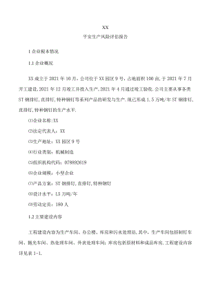 安全生产风险评价报告.docx