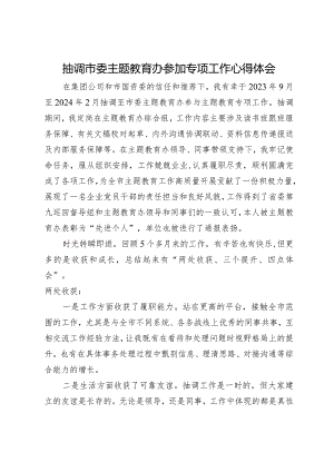 抽调市委主题教育办参加专项工作心得体会.docx