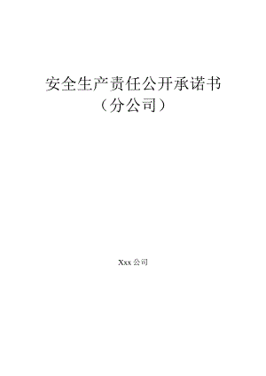 安全生产责任公开承诺书（分公司）.docx