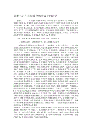 县委书记在县纪委全体会议上的讲话.docx