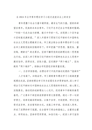 在2024年全市青年理论学习小组交流座谈会上的发言 .docx